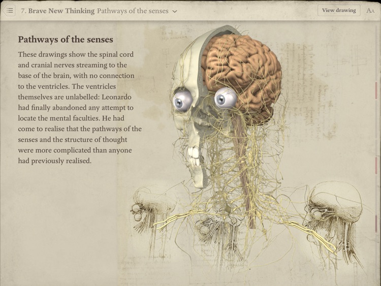 Leonardo da Vinci: Anatomy screenshot-3