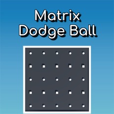 Activities of Matrix Dodge Ball