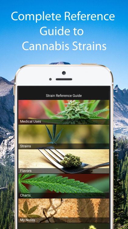 Cannabis Strain Guide