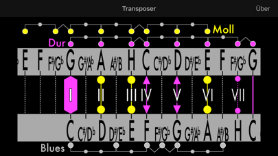 How to cancel & delete The Transposer from iphone & ipad 2