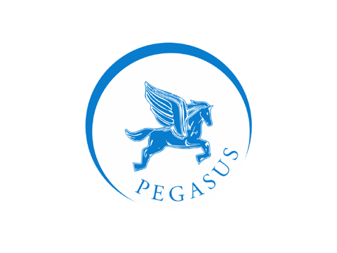 Pegasus Limo - náhled