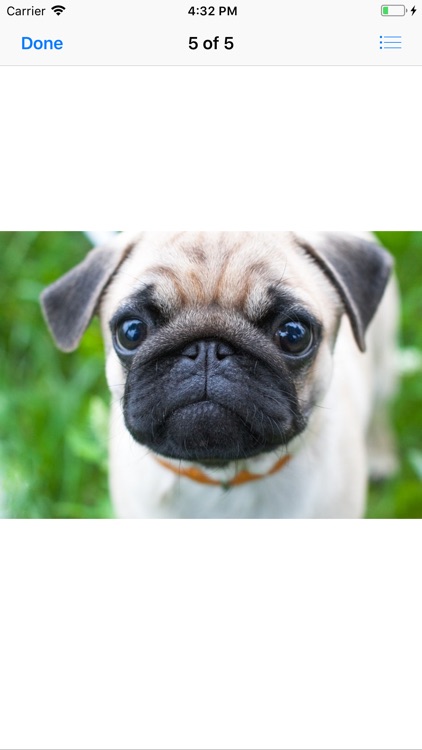 Pug Sticker Pack screenshot-9