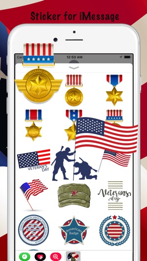 Veterans Day Thank You Sticker(圖2)-速報App