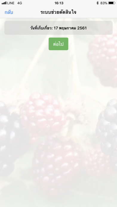 Berry 4.0 screenshot 3