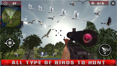 Flying Birds Hunting Game 3D screenshot 2