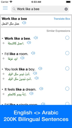 Arabic Translator Offline