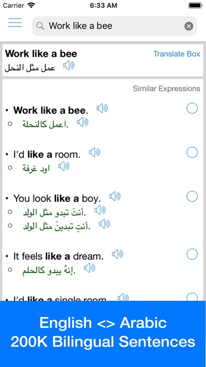 Arabic Translator Offline