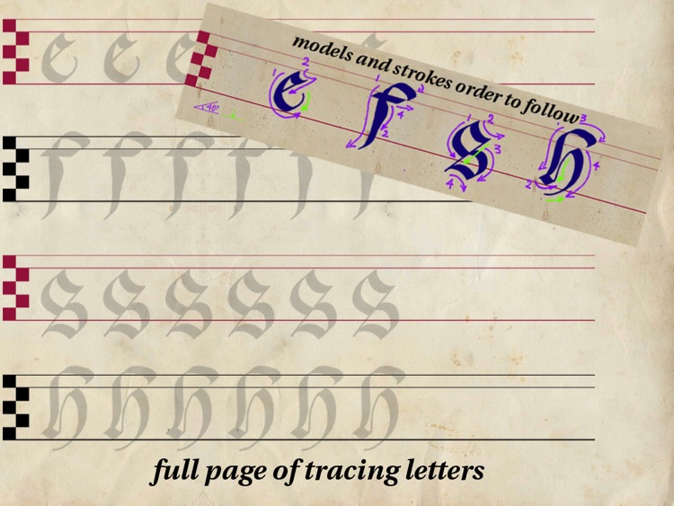 Calligraphy Handbook