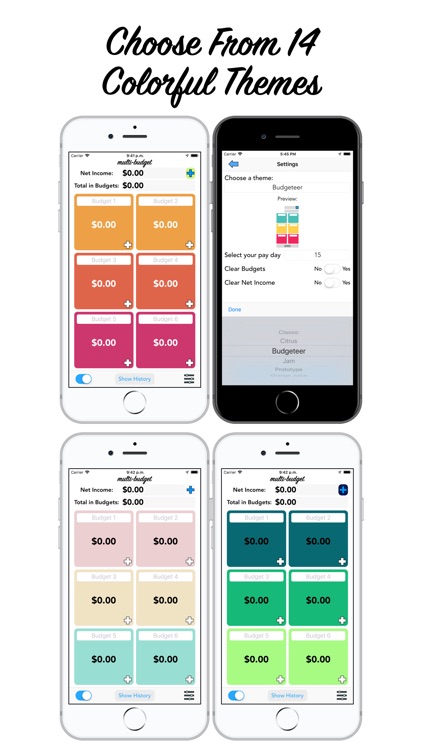 Multi-Budget screenshot-7