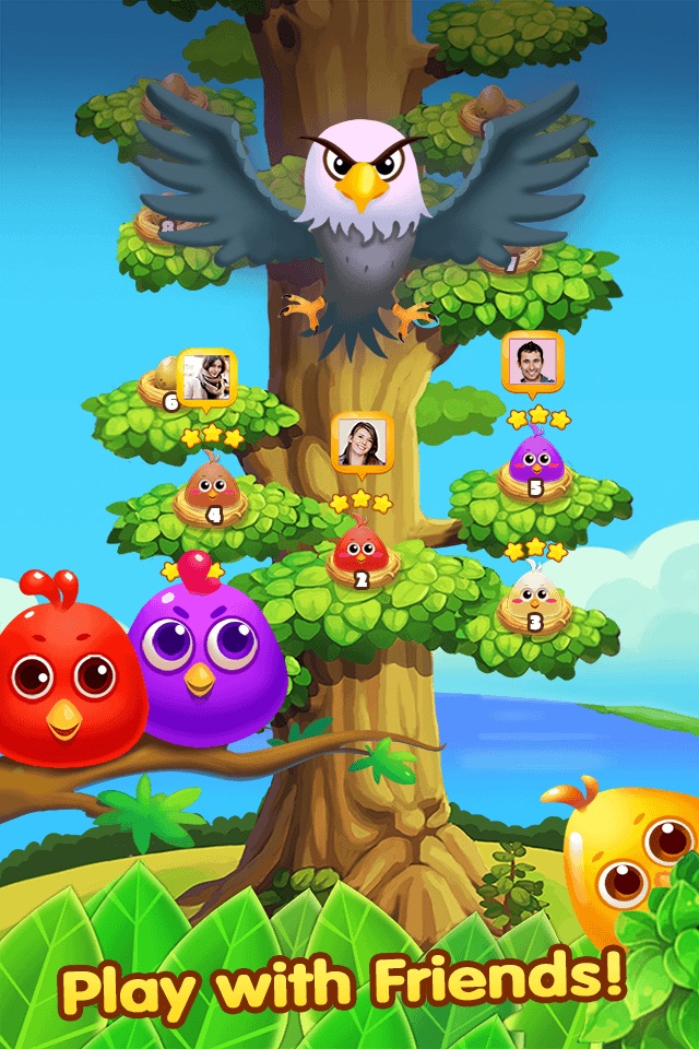 Chicken Splash screenshot 3