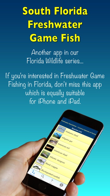 florida-freshwater-game-fish-by-i-m-d-publicacion-c-a