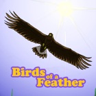 Birds Of A Feather Scorekeeper