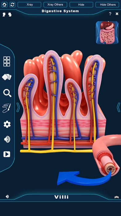 My Digestive System Anatomy screenshot 4
