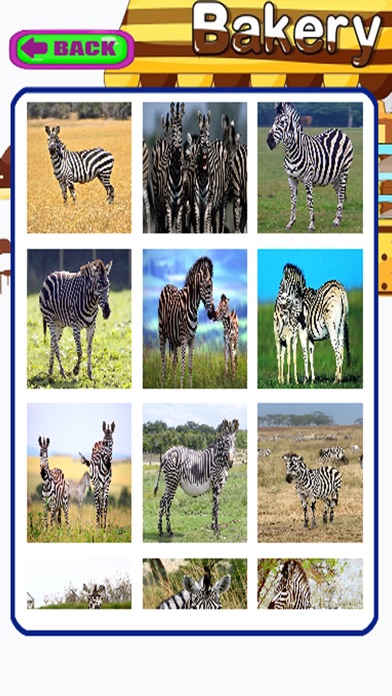 Animal Zebra Jigsaw Puzzle screenshot 3