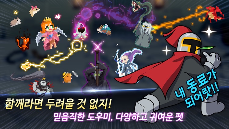중년기사 김봉식