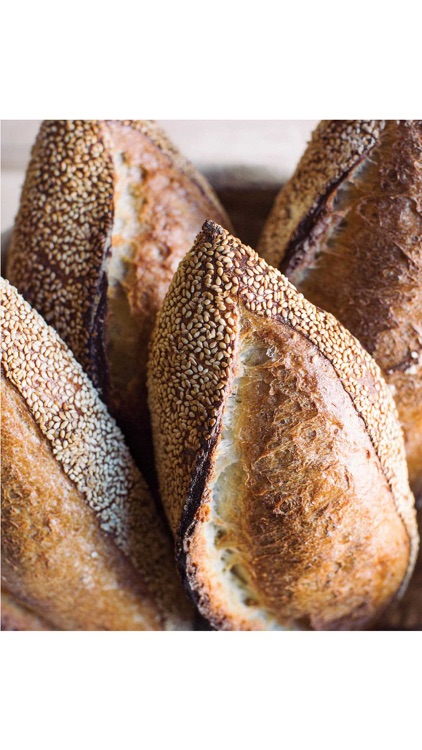 Bake from Scratch