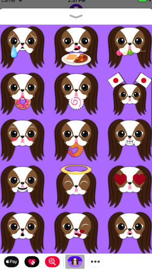 Brown White Japanese Chin(圖4)-速報App