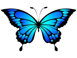 The most beautiful butterflies custom made for your iPhone