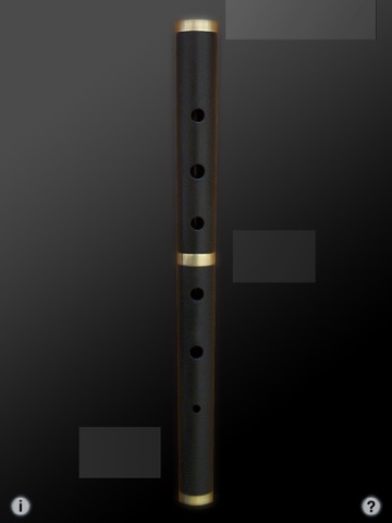 Irish Flute - Key of D screenshot 2