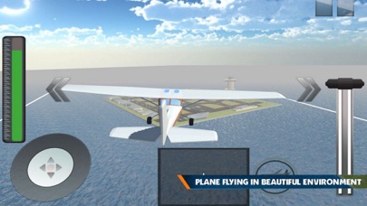 Real Airplane: Pilot Sim screenshot 2