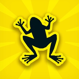 Skipping Frog