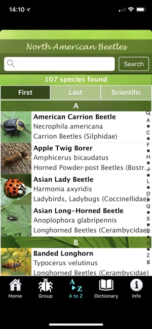 North American Beetles(圖2)-速報App