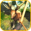 Wild Deer - Archery Shooting