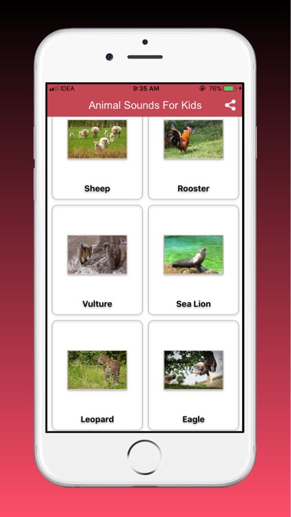 Animal Sounds And Music screenshot-3