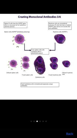 BioLegend Basic Immunology(圖5)-速報App