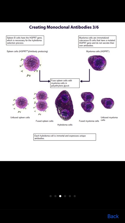 BioLegend Basic Immunology screenshot-4