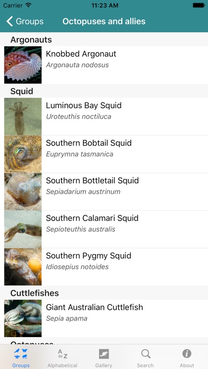 Bunurong Marine National Park Field Guide