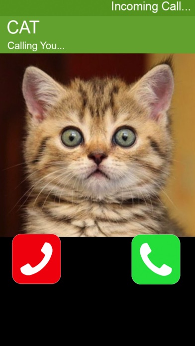 Call Cat 2 screenshot 4