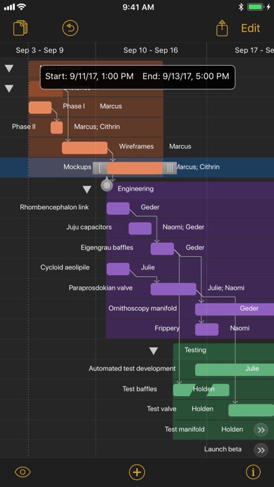 omniplan multiple projects