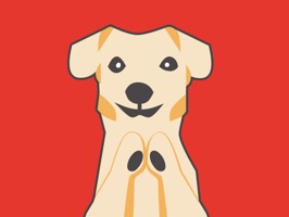 2018 is the year of Dog in Chinese Zodiac related to Chinese lunar calendar