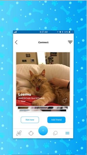 PetTopia-pet’s social network(圖4)-速報App