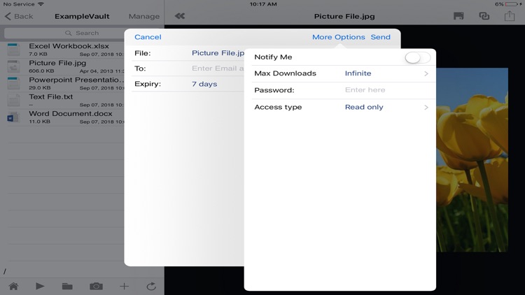 HomeDrive Mobile Access screenshot-4