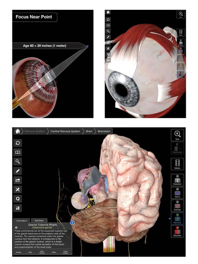 Essential Eye(圖4)-速報App