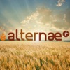 alternae