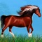 TRY OUR HORSE PONEY WILD AGILITY RACE: THE FOREST DANGEROUS PATH GAME