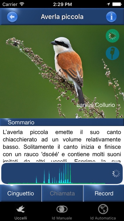 Canzoni d'uccelli, versi di richiamo degli uccelli