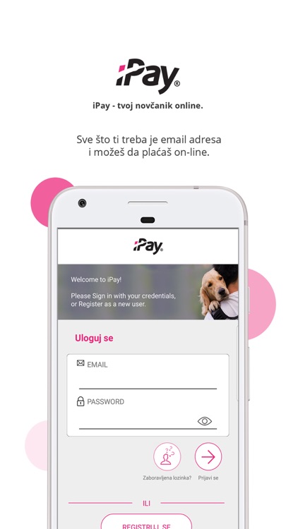 iPay iWallet