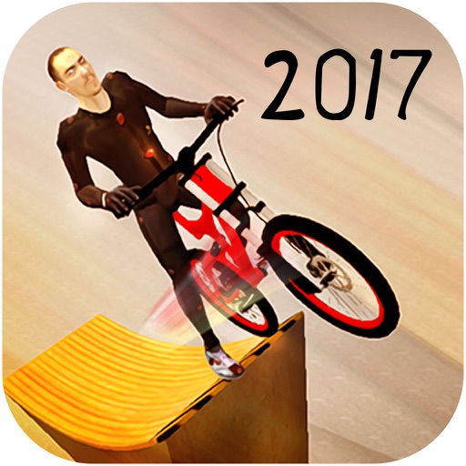 BMX Bicycle Stunt Rider