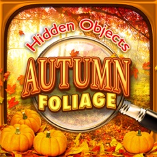 Activities of Hidden Objects Autumn Fall & Halloween Harvest Pic