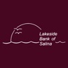 Lakeside Mobile for iPad