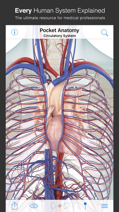 Pocket Anatomy screenshot 2