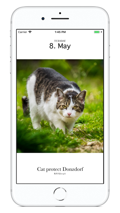 Cat Calendar 2018 screenshot 2