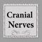 App cover more than 180 slides, terms, video, four presentation and quiz in almost all cranial aspects including anatomy, physiology, images, ppt, video, terms, and details all in simple user friendly design
