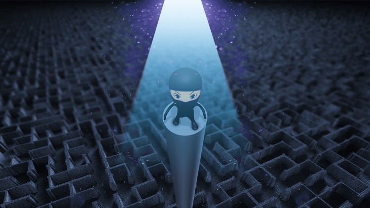 Ninja Maze Mystery