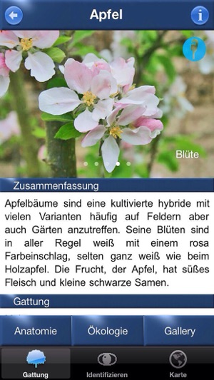 Baum Id Schweiz(圖4)-速報App