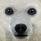 Top 30 Games Apps Like Ultimate Arctic Simulator - Best Alternatives